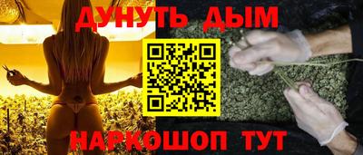 spice Гай