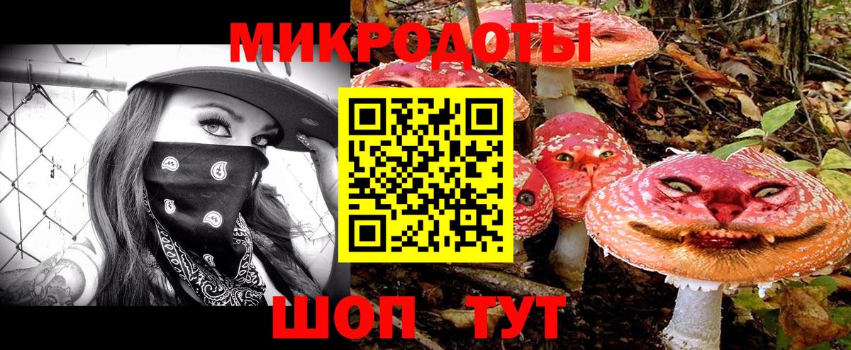 Псилоцибиновые грибы мицелий  Псилоцибиновые грибы Magic Shrooms  Новоалександровск 