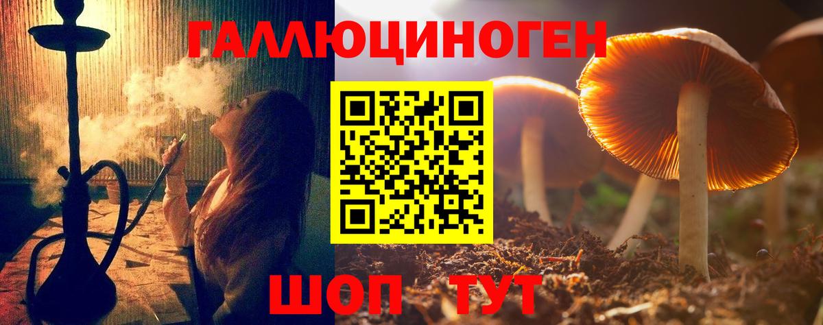 Псилоцибиновые грибы MAGIC MUSHROOMS Новоалександровск