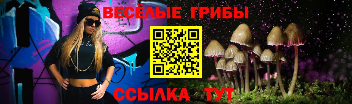 Галлюциногенные грибы мицелий  Вход с VPN  где найти   Новоалександровск 